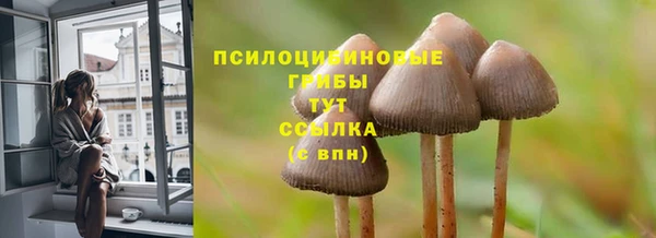 прущий лед Нягань