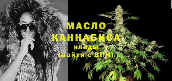 молекула духа Новодвинск