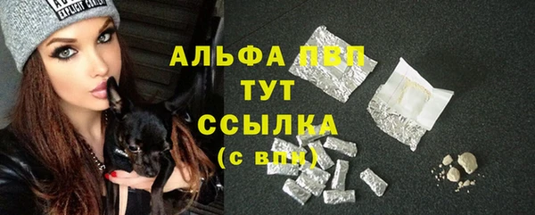 сатива Новокубанск