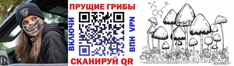 Купить где  Изобильный  Галлюциногенные грибы Magic Shrooms 